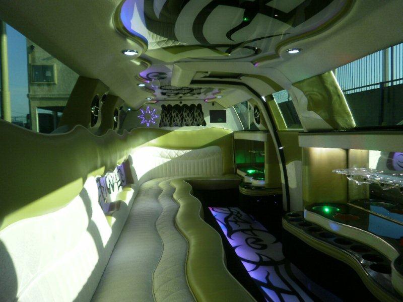 Temple Terrace Excursion Stretch Limo 